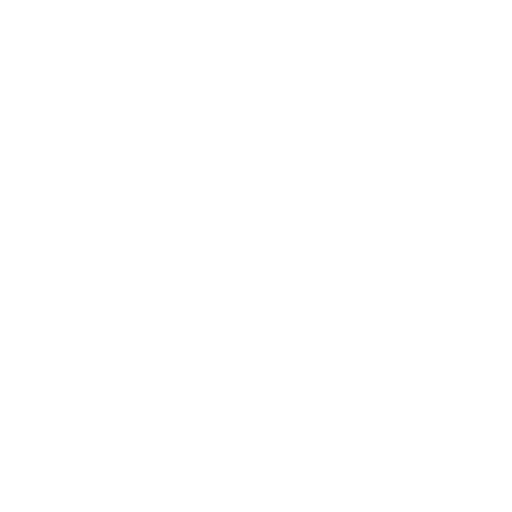 Techninis SEO auditas