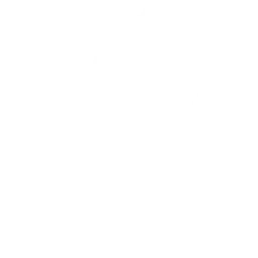 Techninis SEO auditas