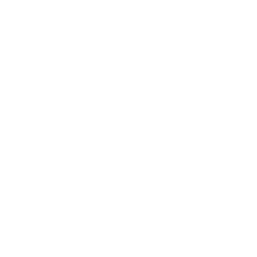 Vidinis SEO auditas