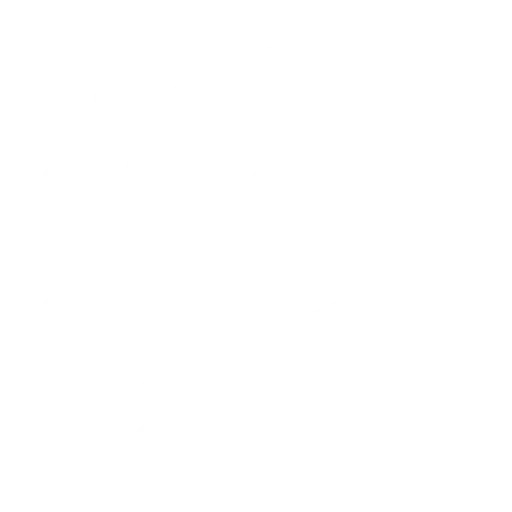 Vidinis SEO auditas